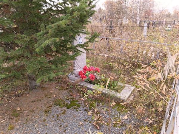Логинова Надежда Ильинична
