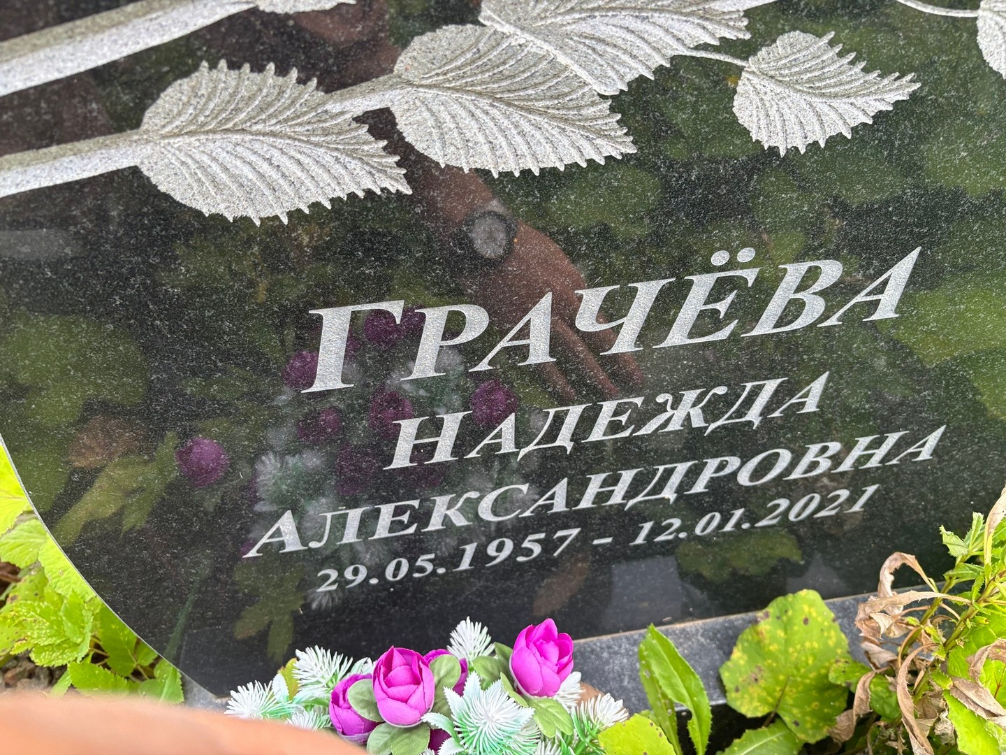 Грачева