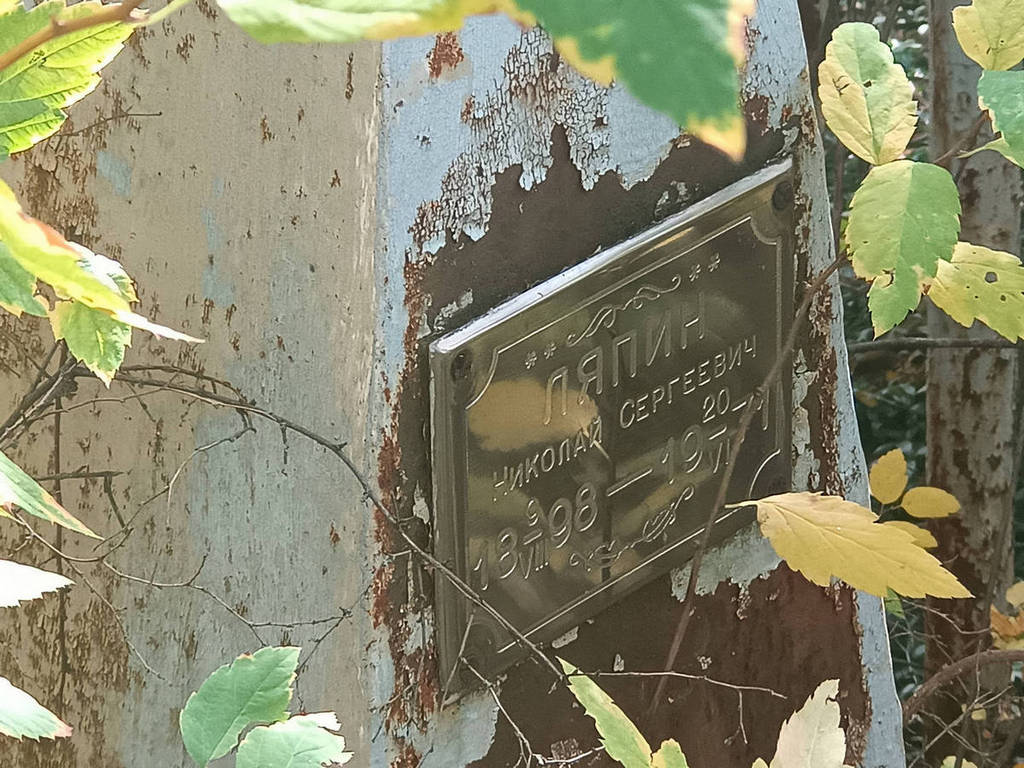Ляпин Николай Сергеевич