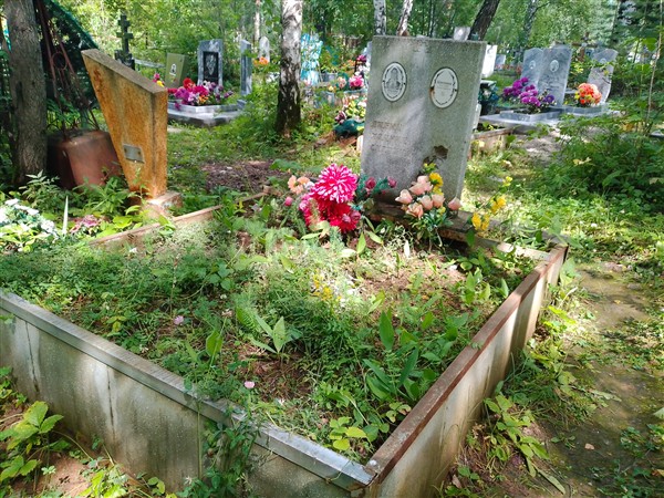 Шаклеина Анна Александровна