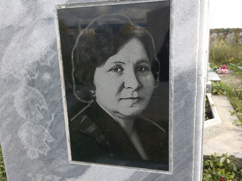 Жирных