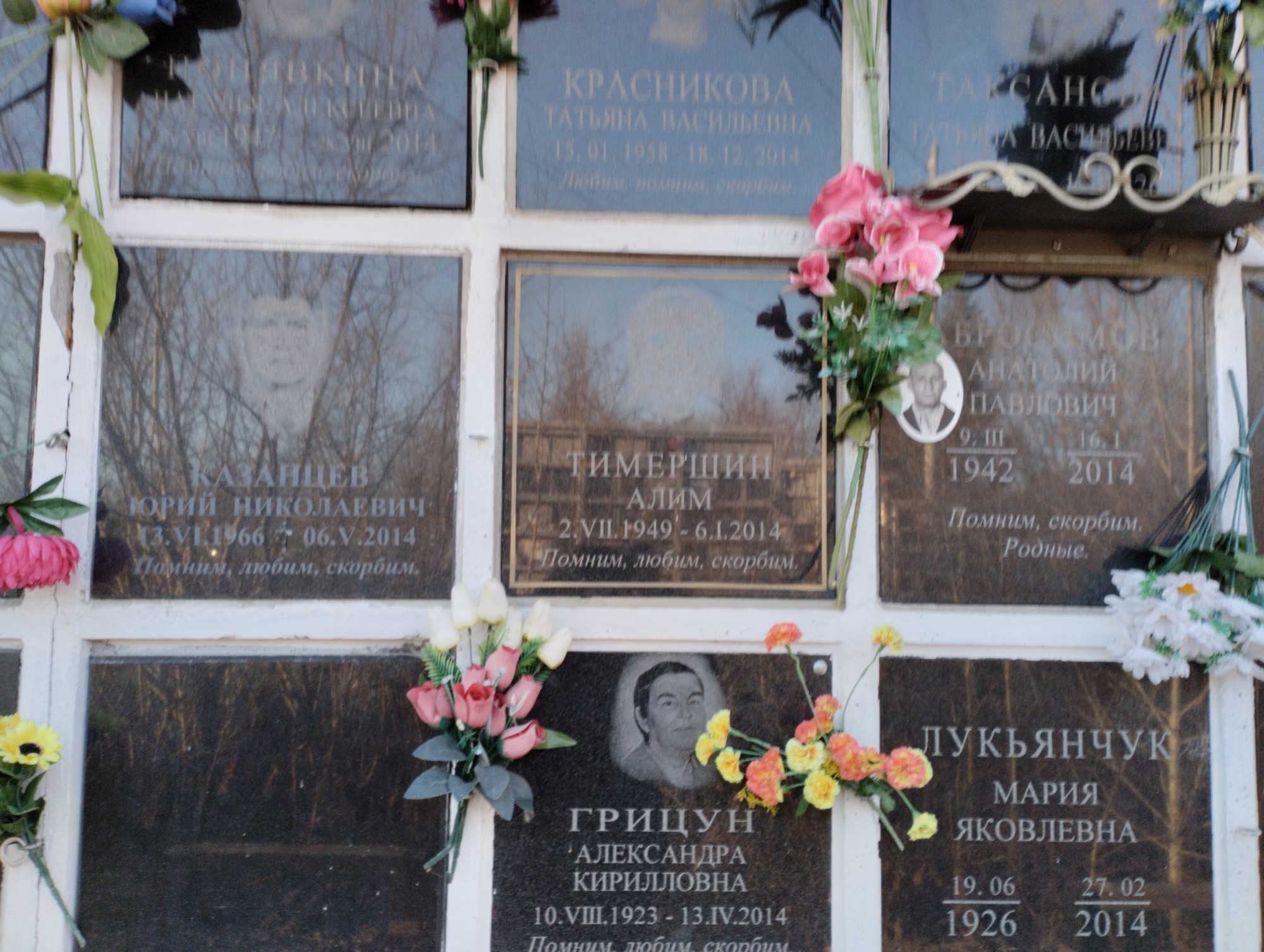 Тимершин Алим
