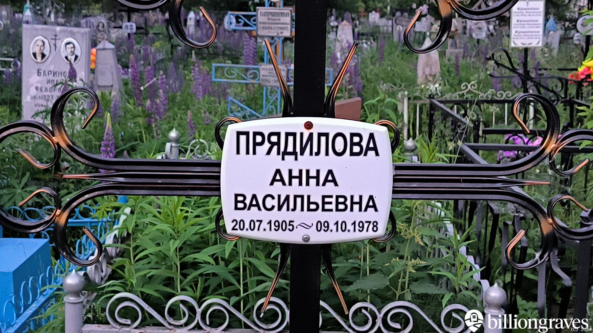 Прядилова Анна Васильевна