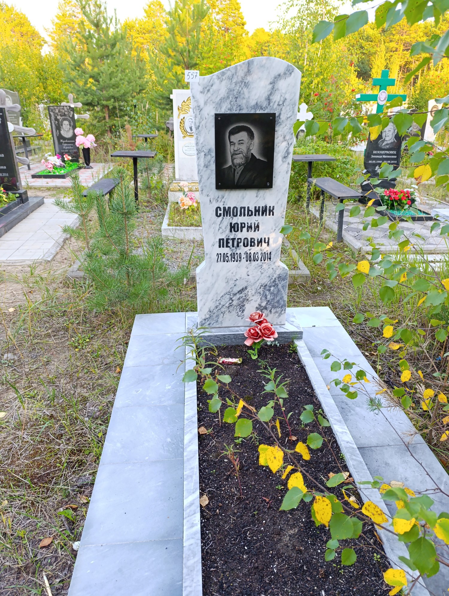 Смольник Юрий Петрович