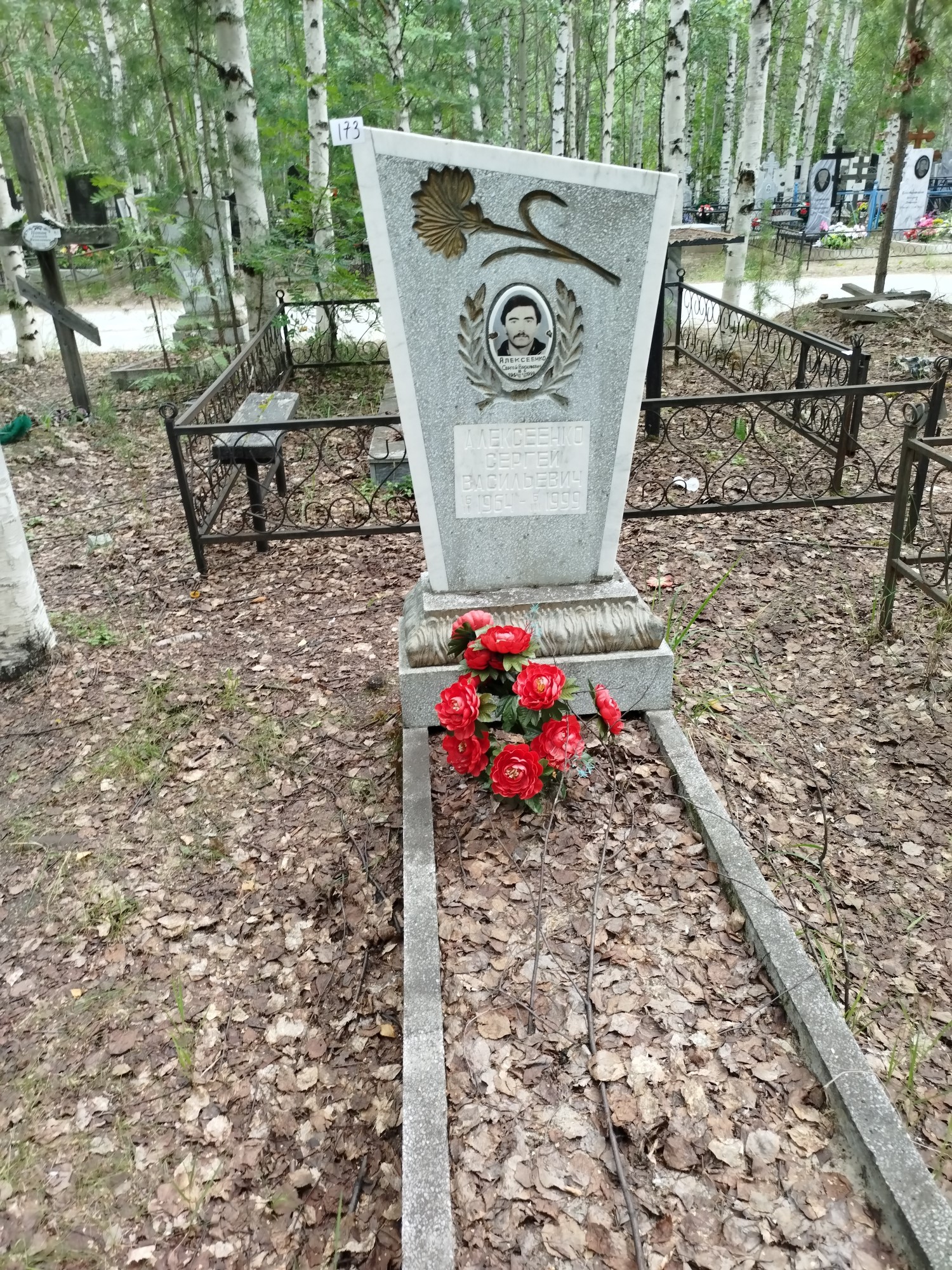 Алексеенко Сергей Васильевич