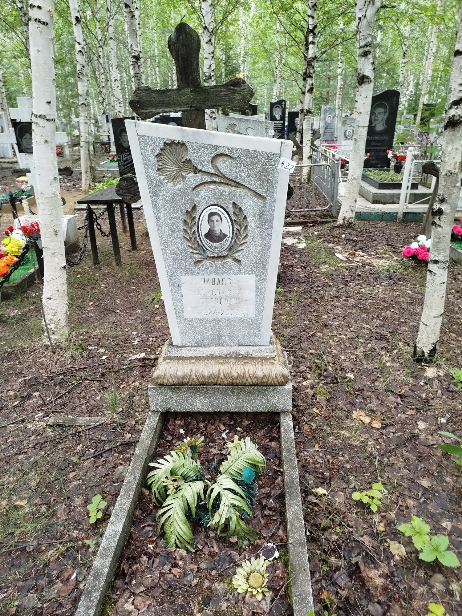 Павлова Анастасия Петровна