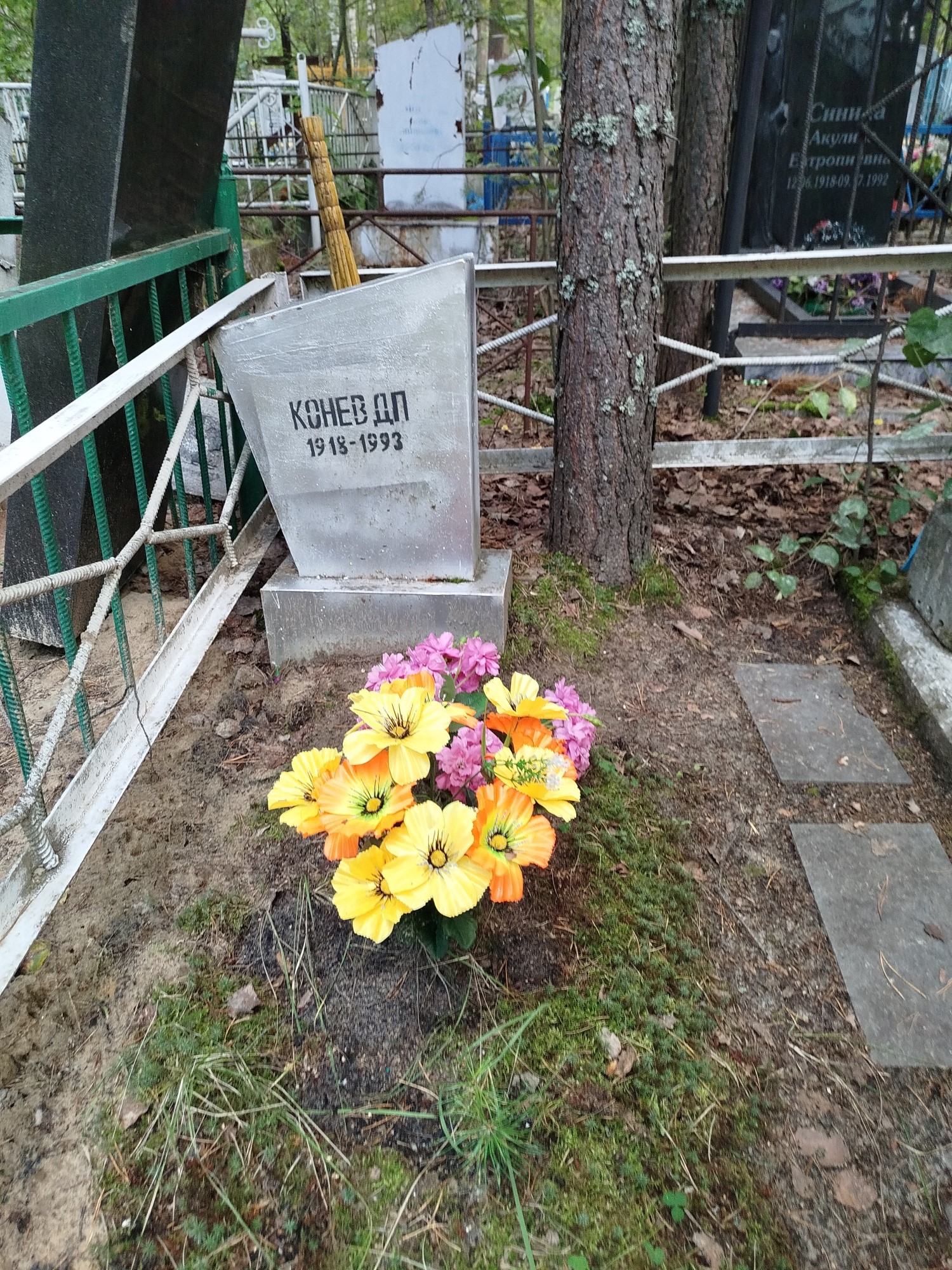 Конев Д П
