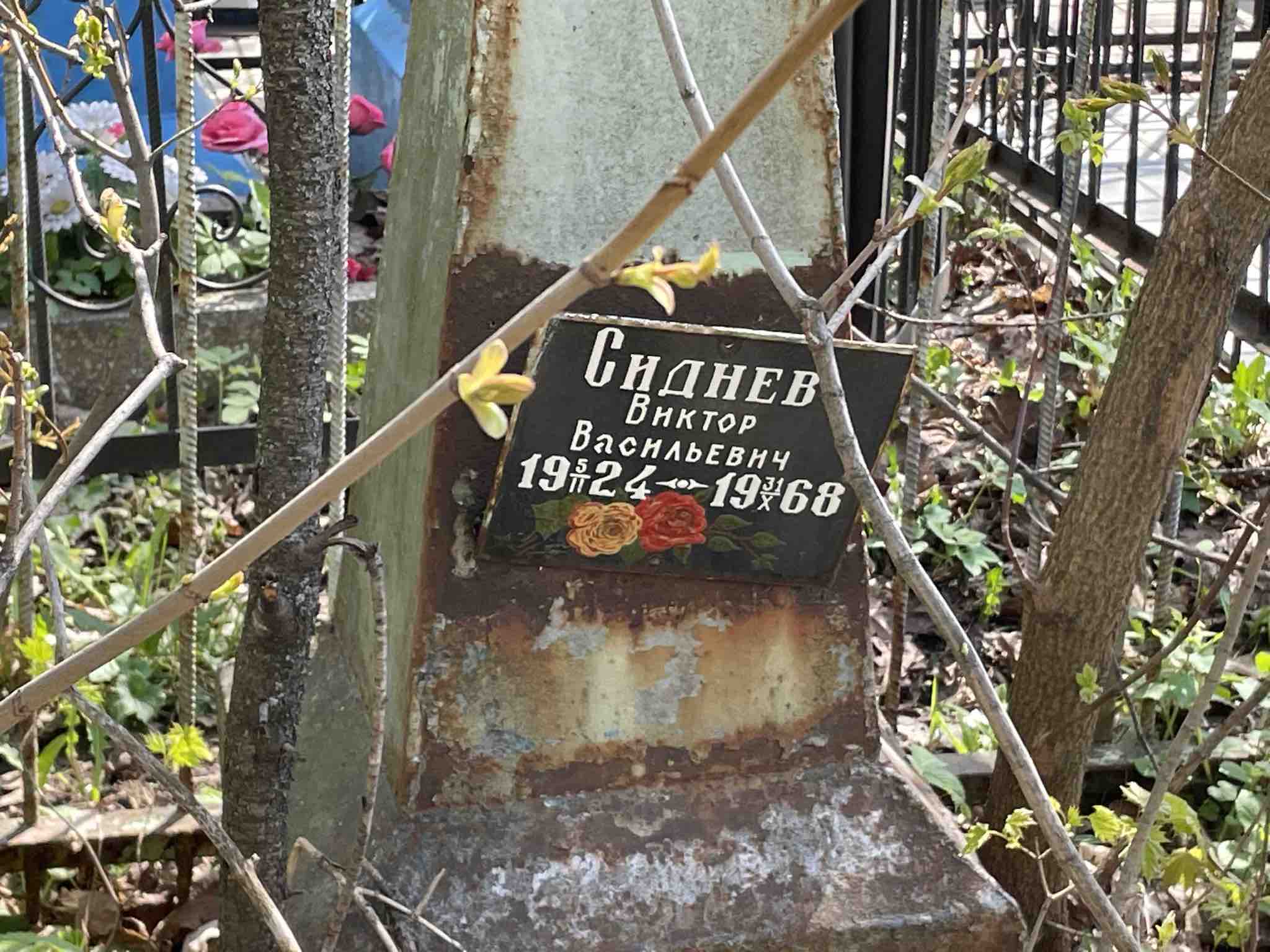 Вареница Юлия Ивановна