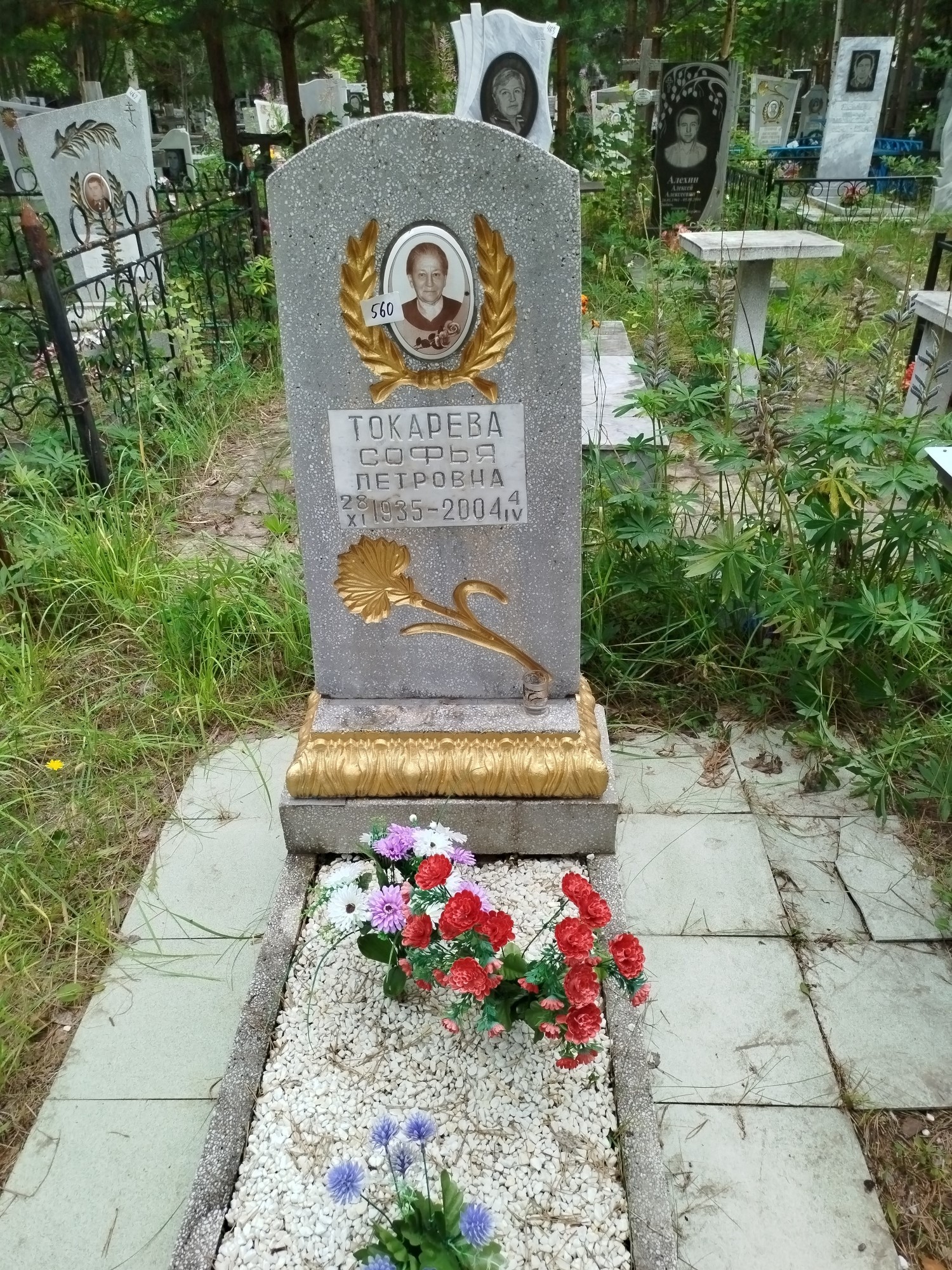 Токарева Софья Петровна