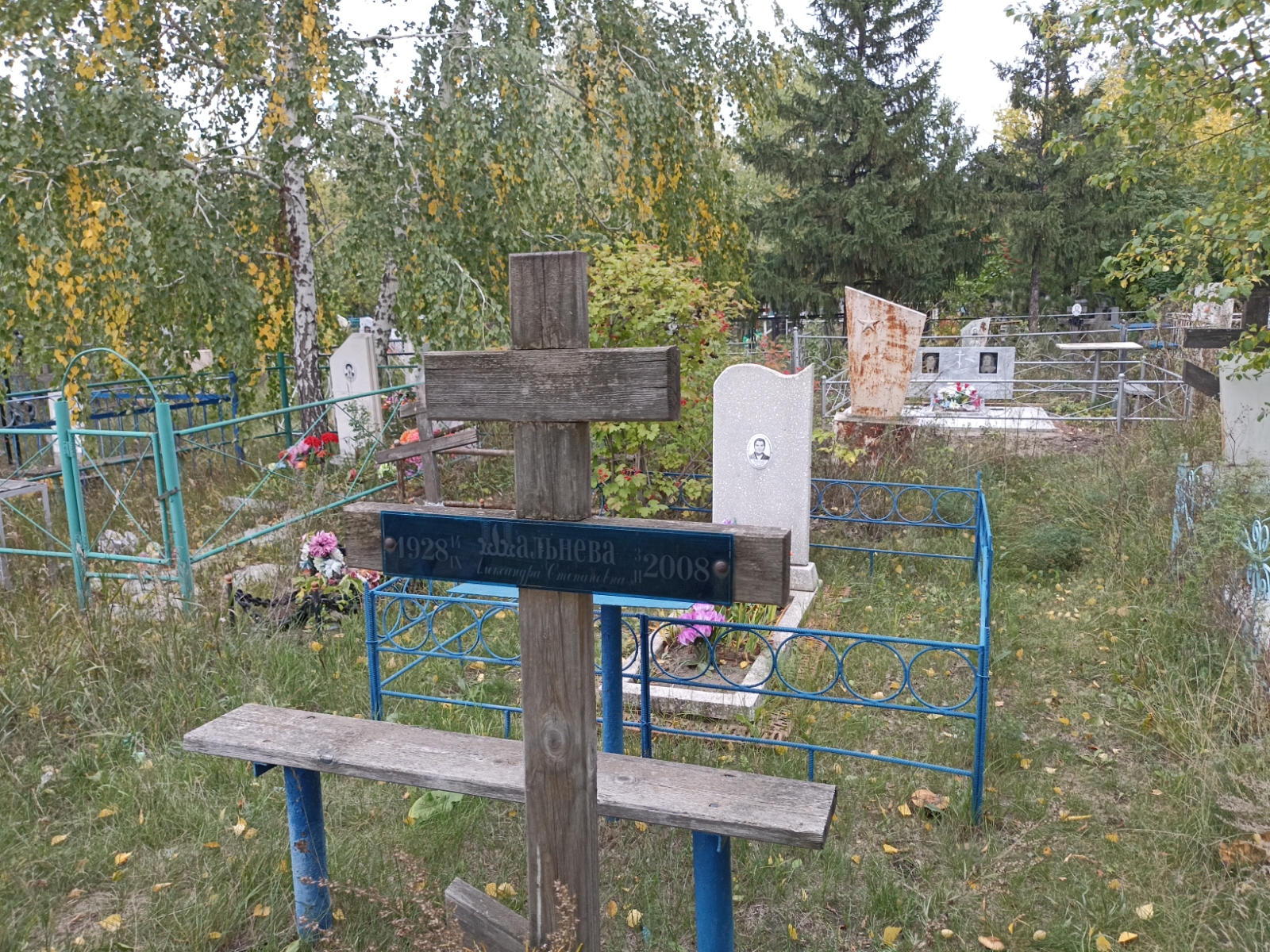 Шальнева Александра Степановна