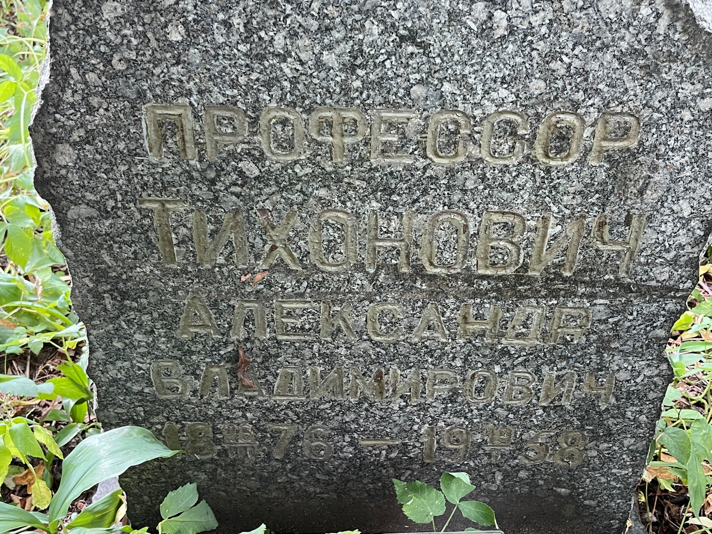 Тихонович