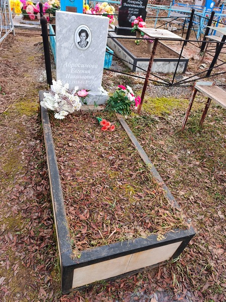 Абросимова Евгения Николаевна
