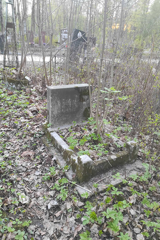 Давыдов …д Петрович