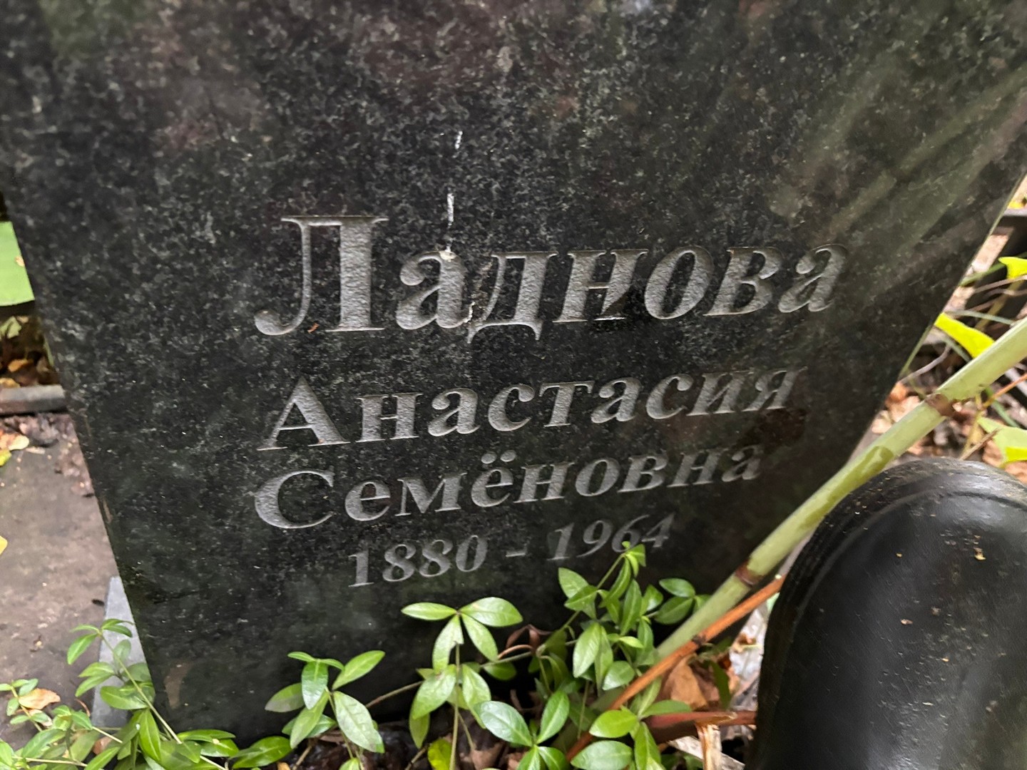 Ладнова Анастасия Семеновна