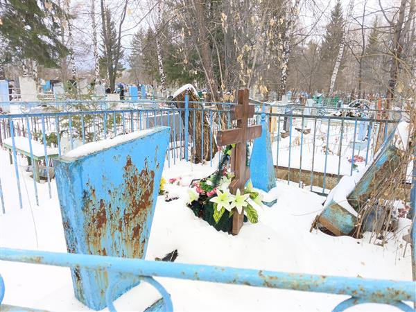 Полушин Петр Яковлевич