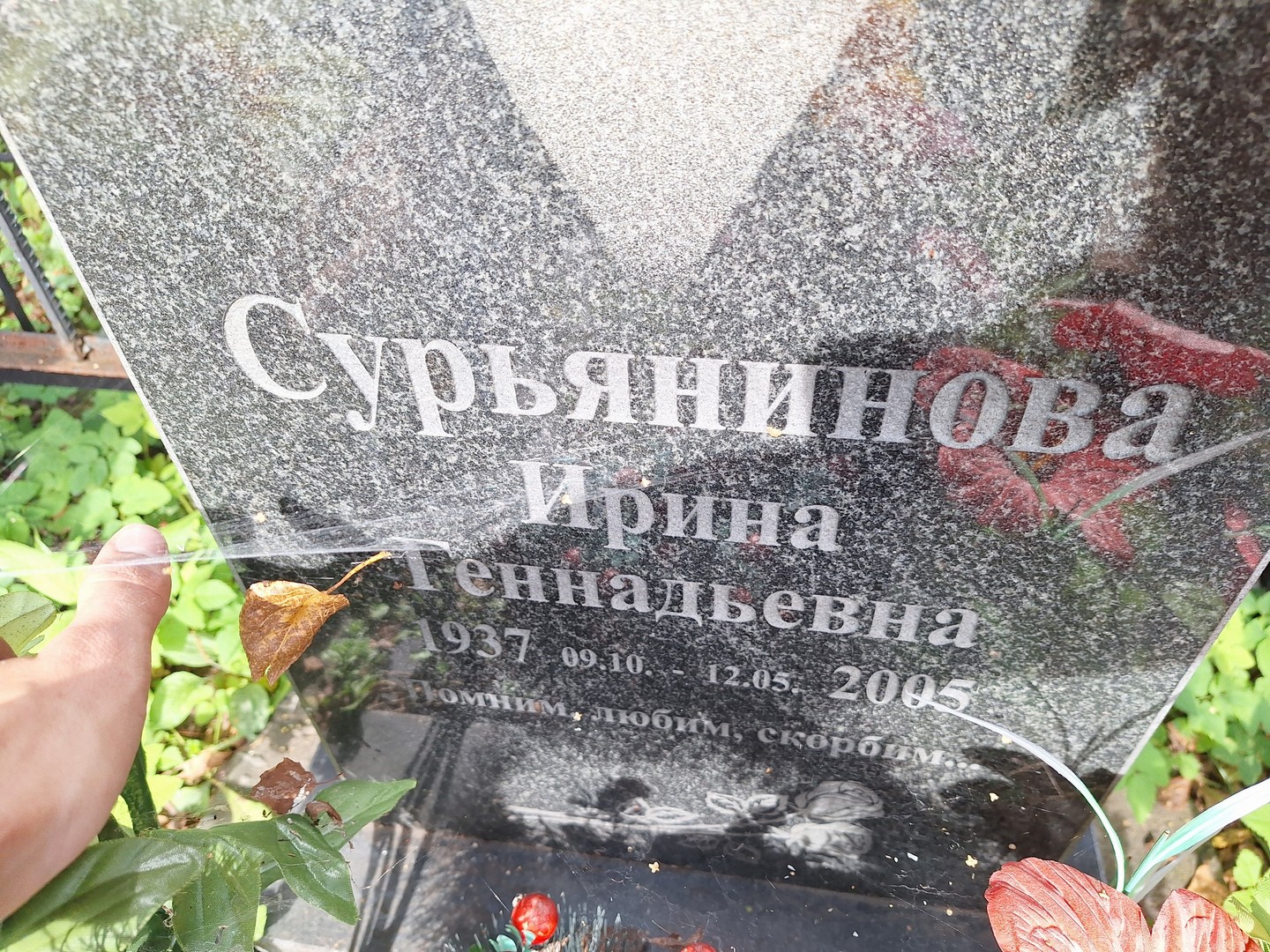 Сурьянинова