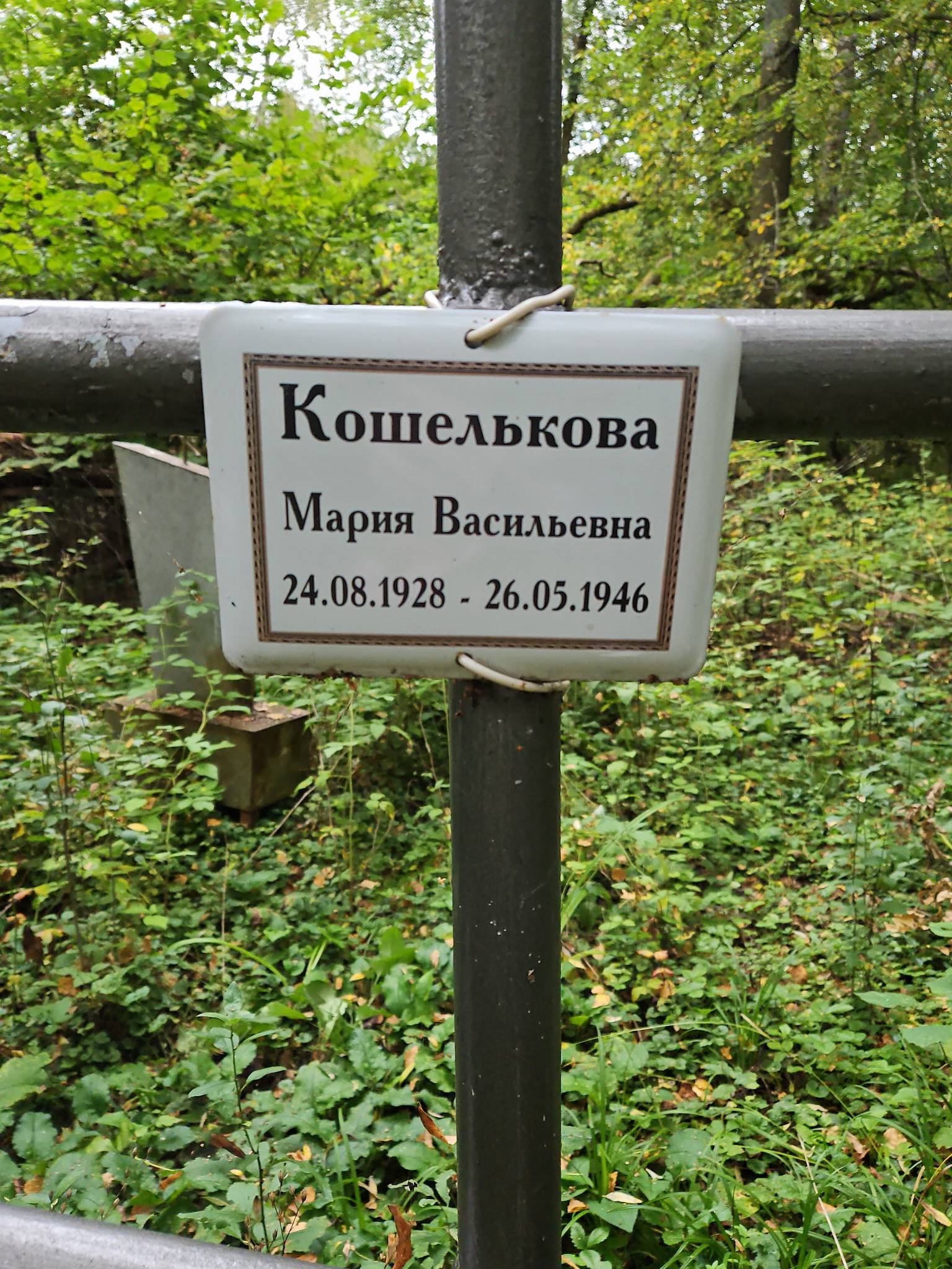 Кошелькова Наталья Дмитриевна