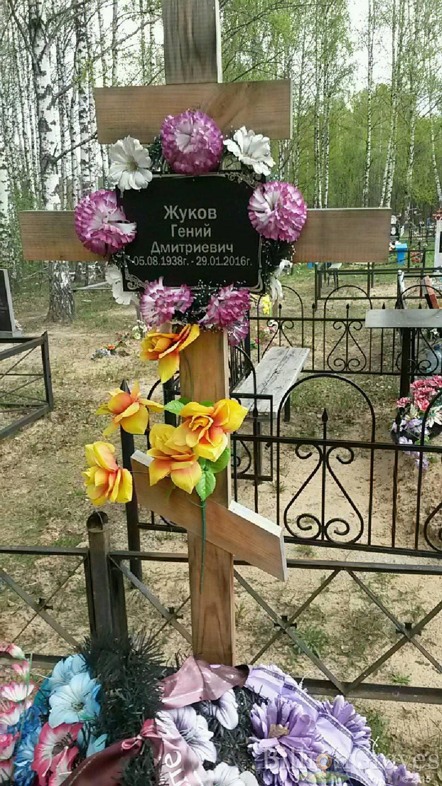 жуков гений дмитриевич
