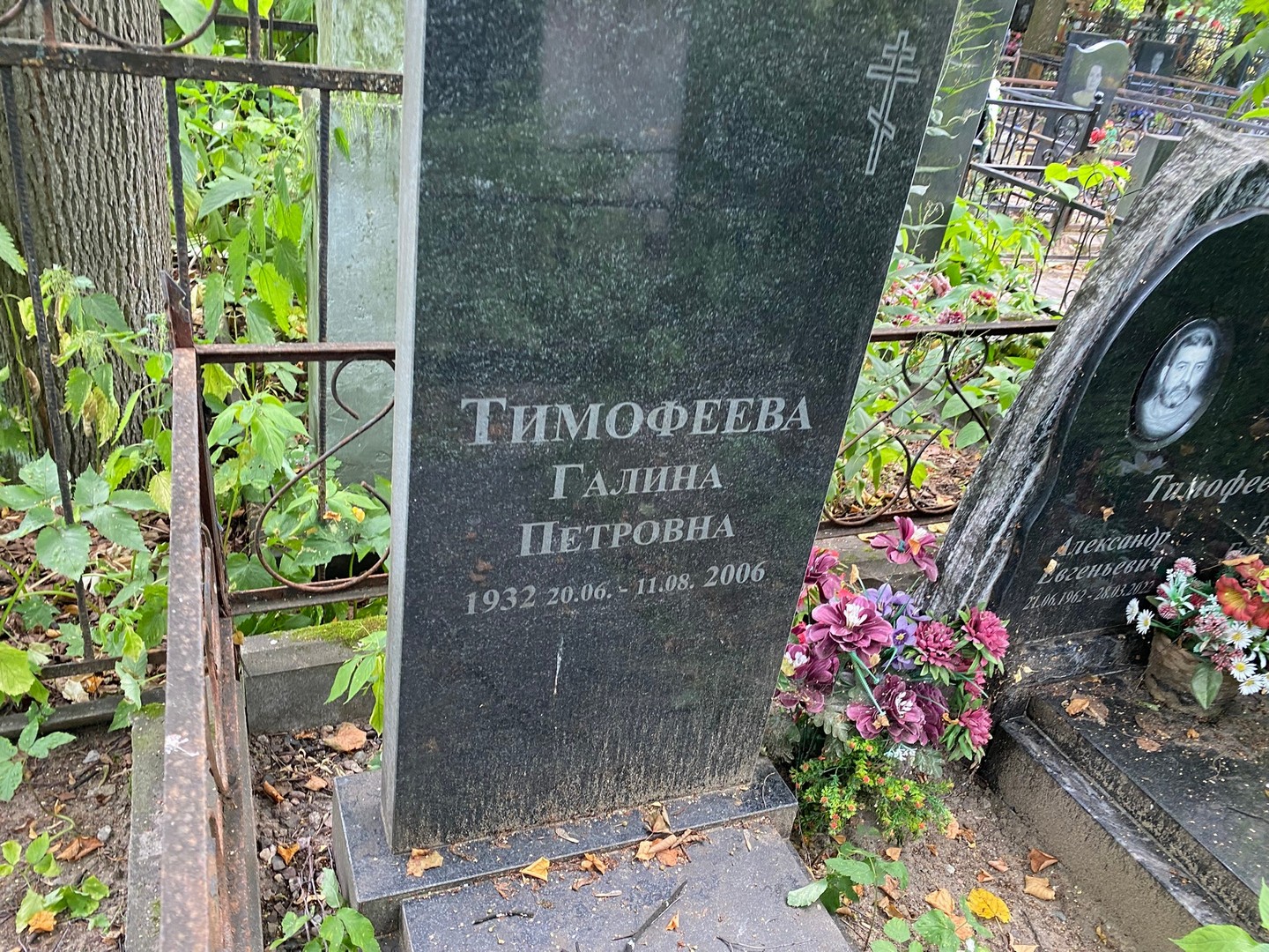 Тимофеева