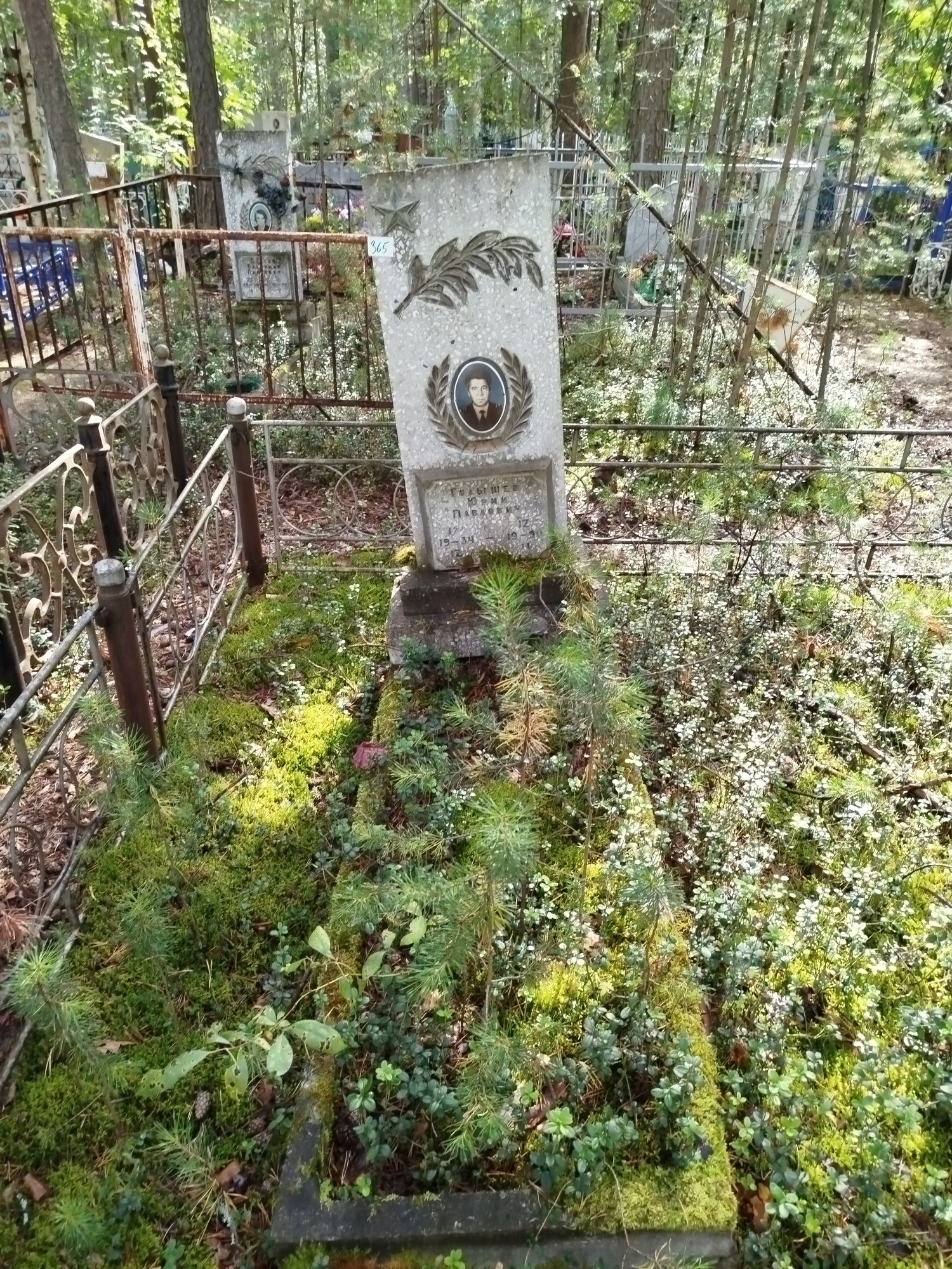 Голышев Юрий Павлович