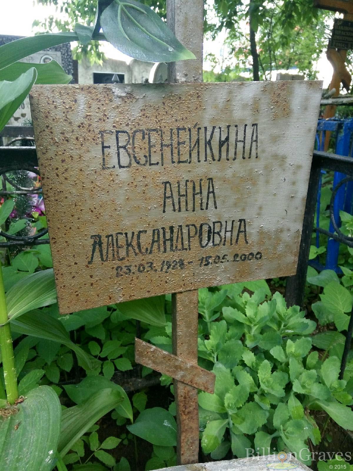 Евсенейкина Анна Александровна