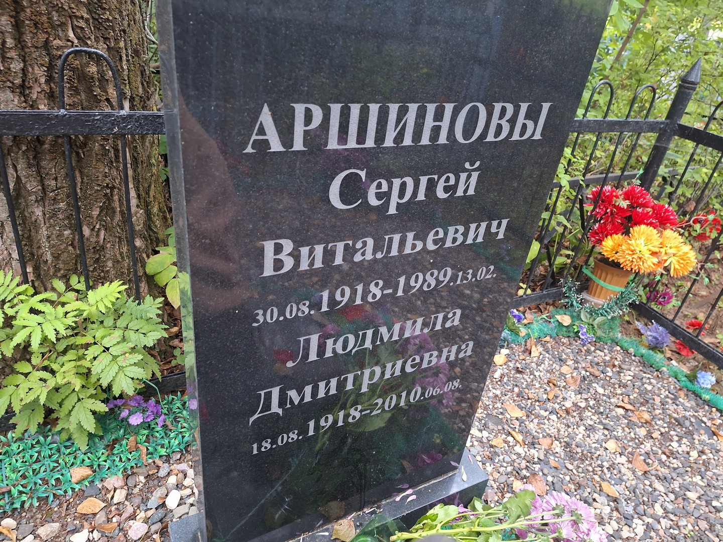 Аршинов