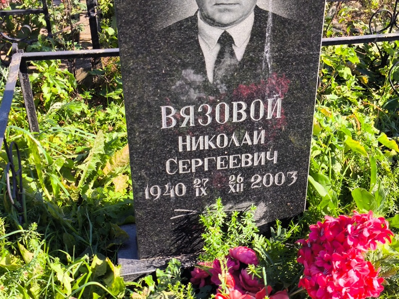 Вязовой
