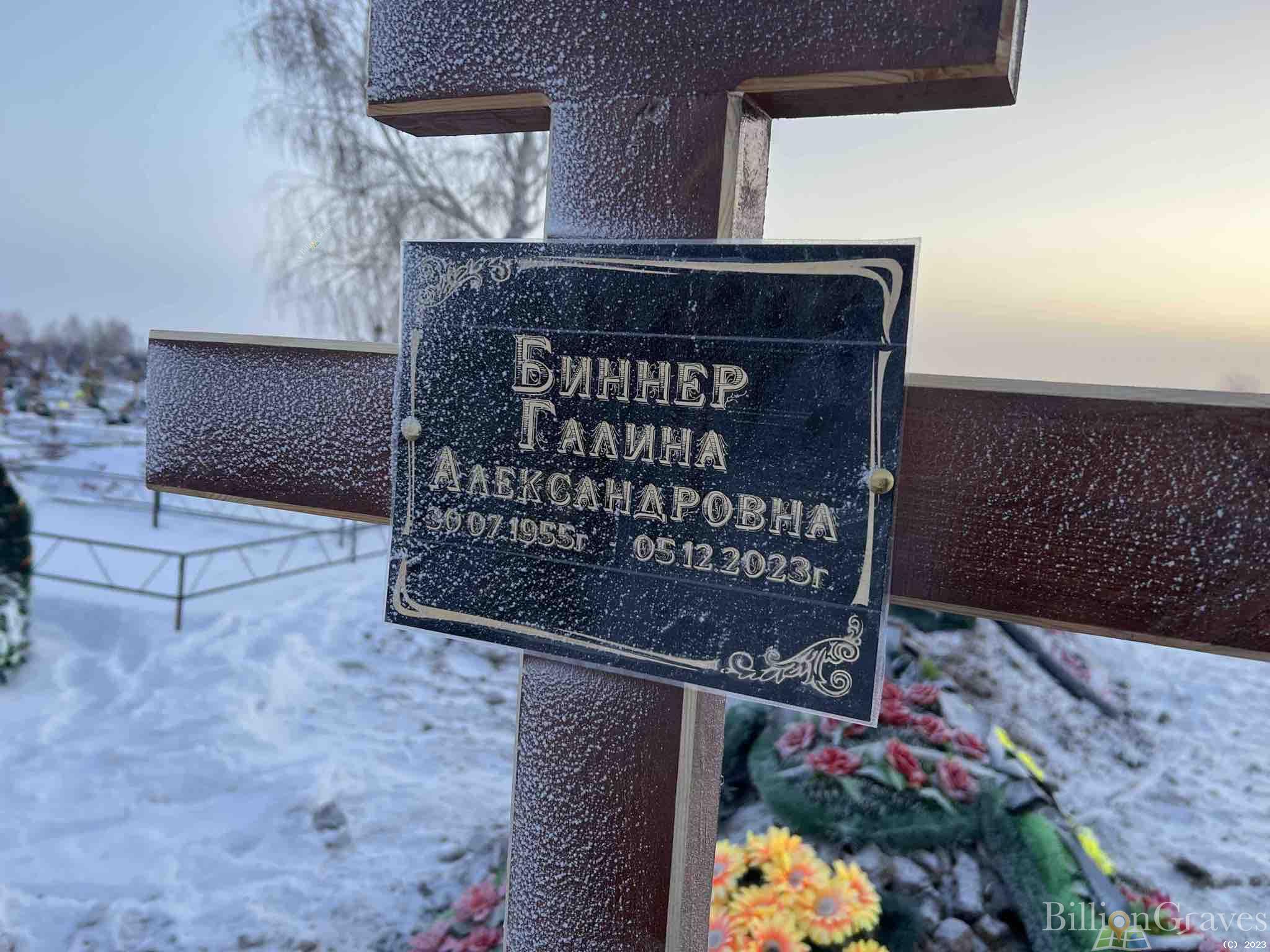 Биннер Галина Александровна