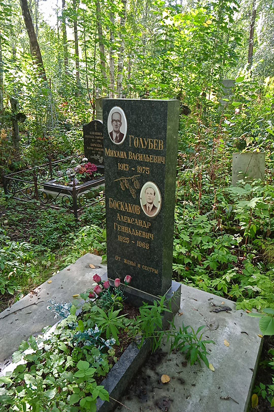 Голубев Михаил Васильевич