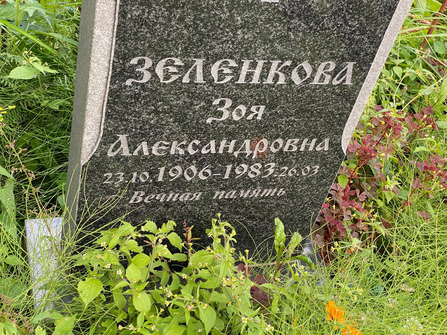 Зеленкова