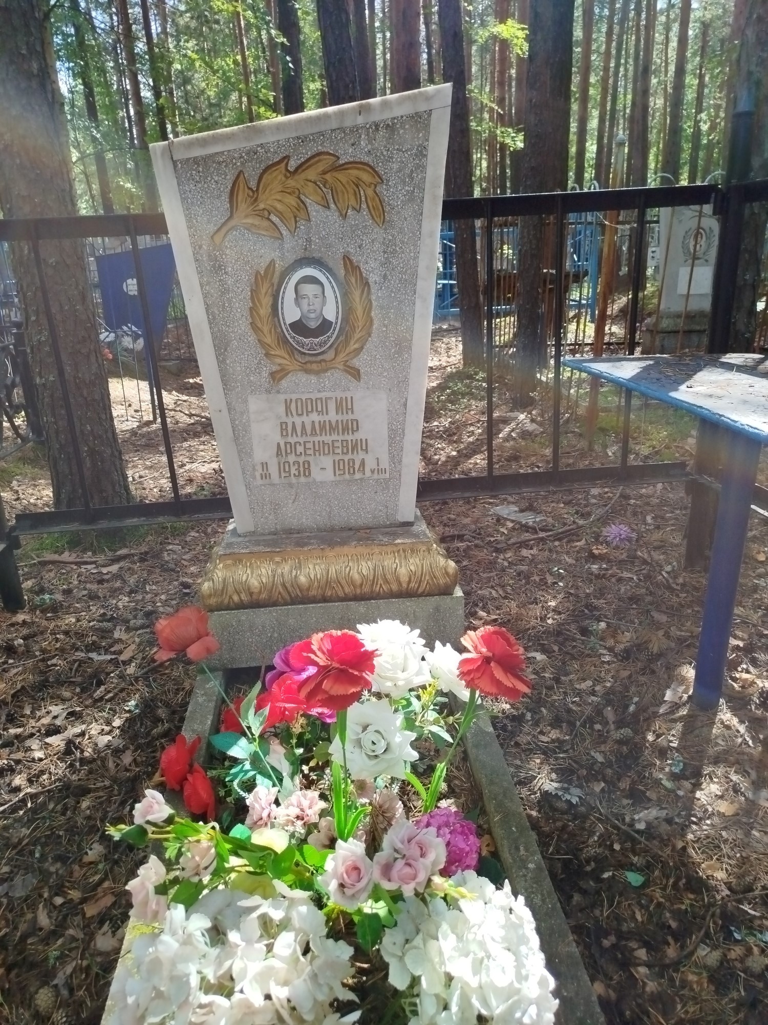 Корягин Владимир Арсентьевич