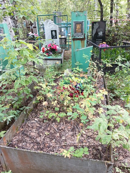 Карташова Татьяна Николаевна