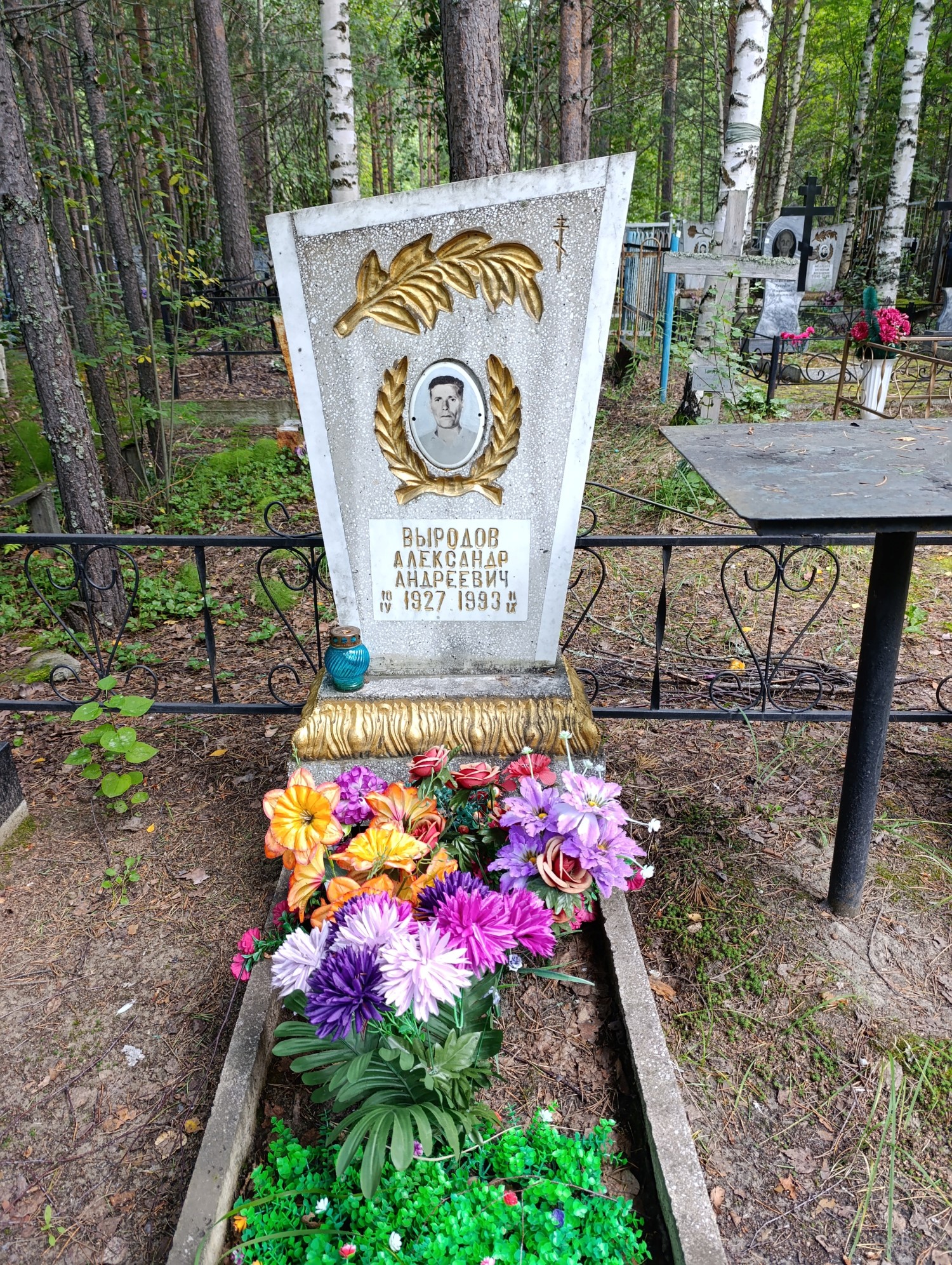 Выродов Александр Андреевич