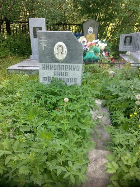 Николаенко Анна Фёдоровна