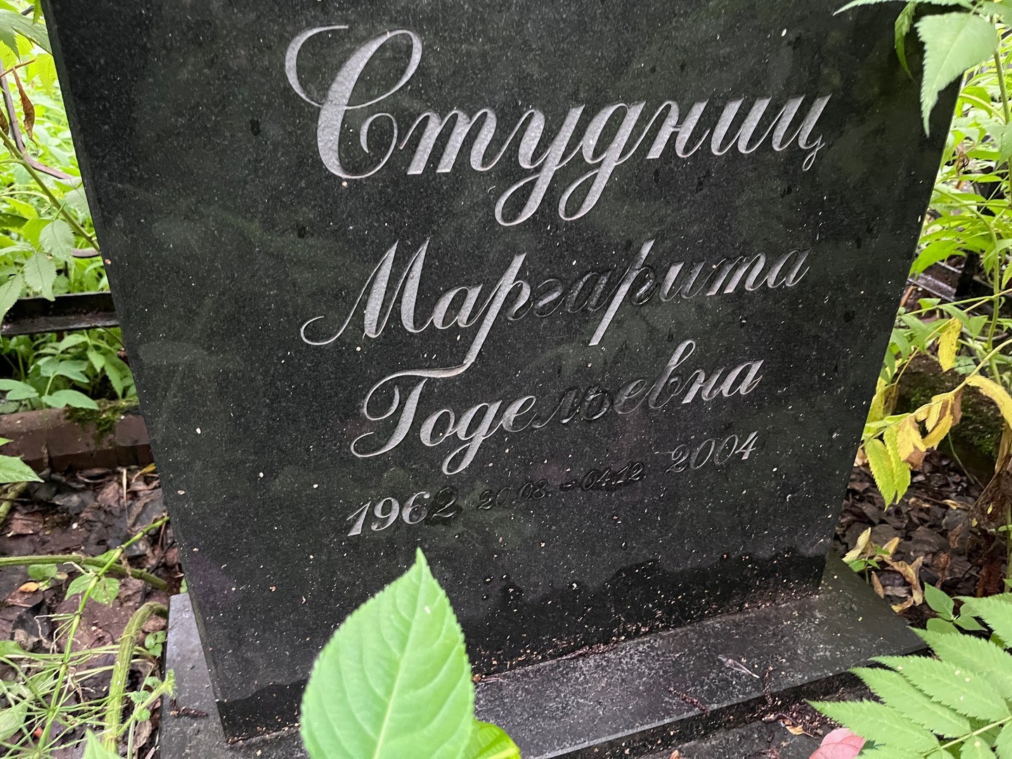 Студниц