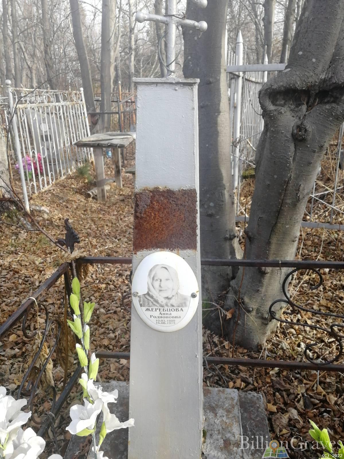 Жеребцова Анна Родионовна