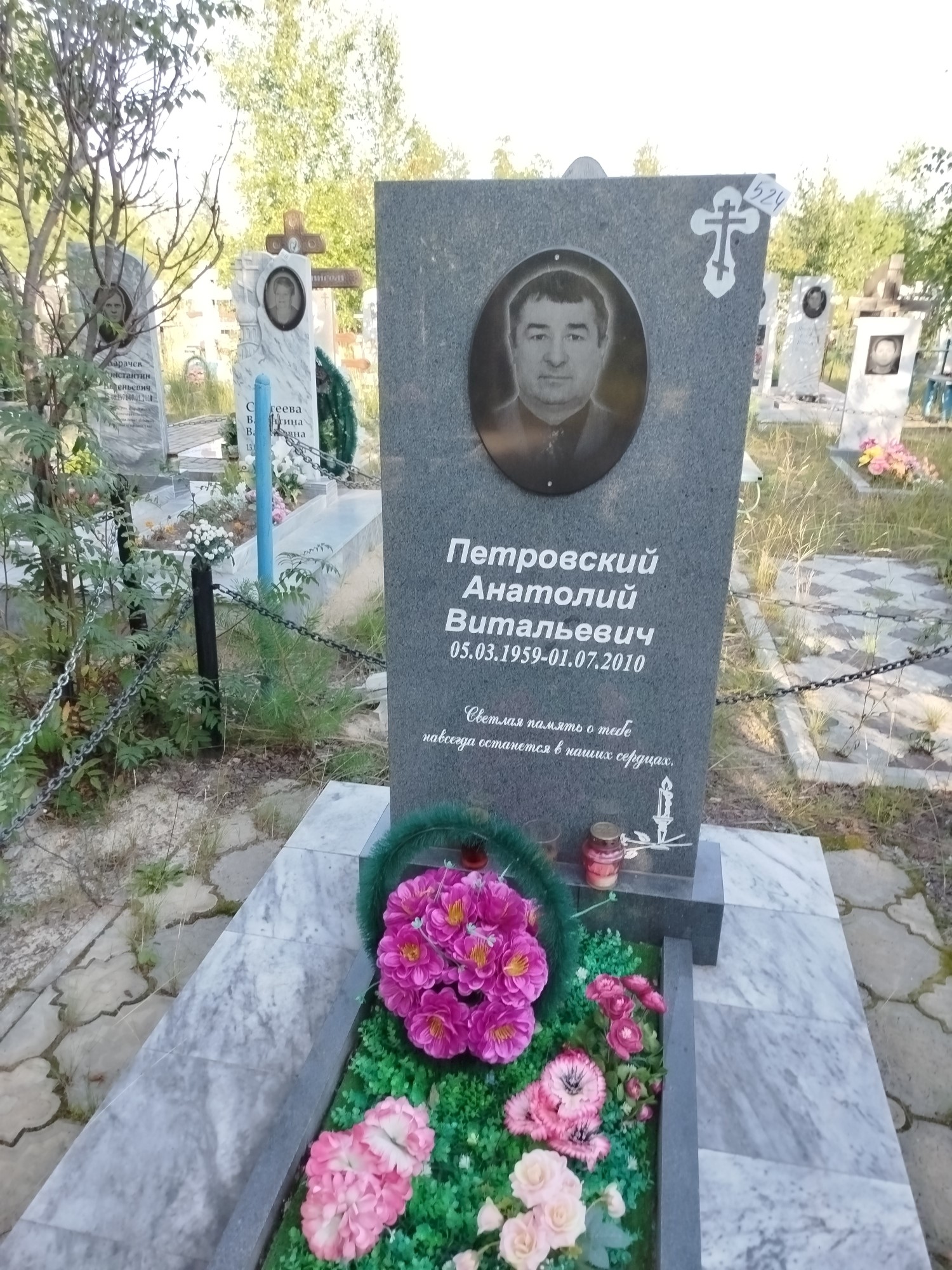 Петровский Анатолий Витальевич