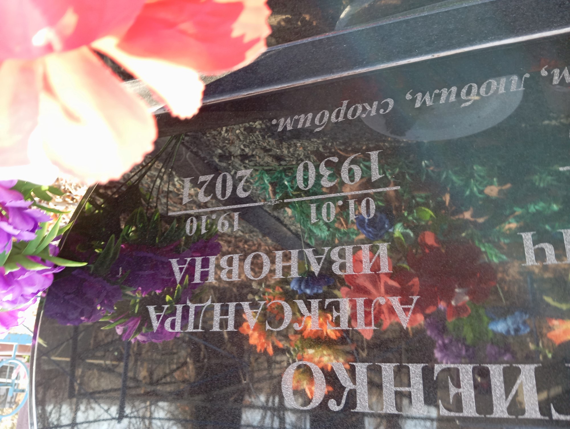 Сергиенко Александра Ивановна