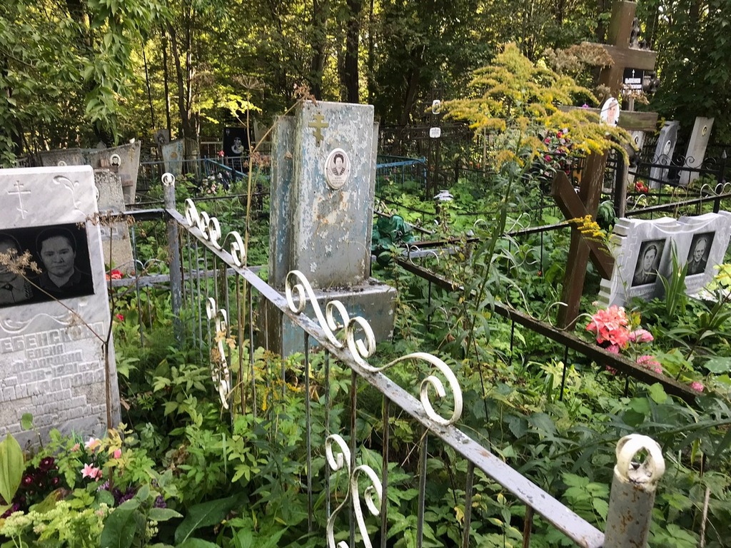 Клюева Анна Петровна