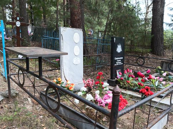 Емельянов Сергей Павлович
