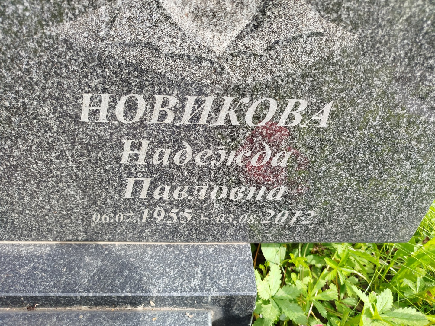 Новикова