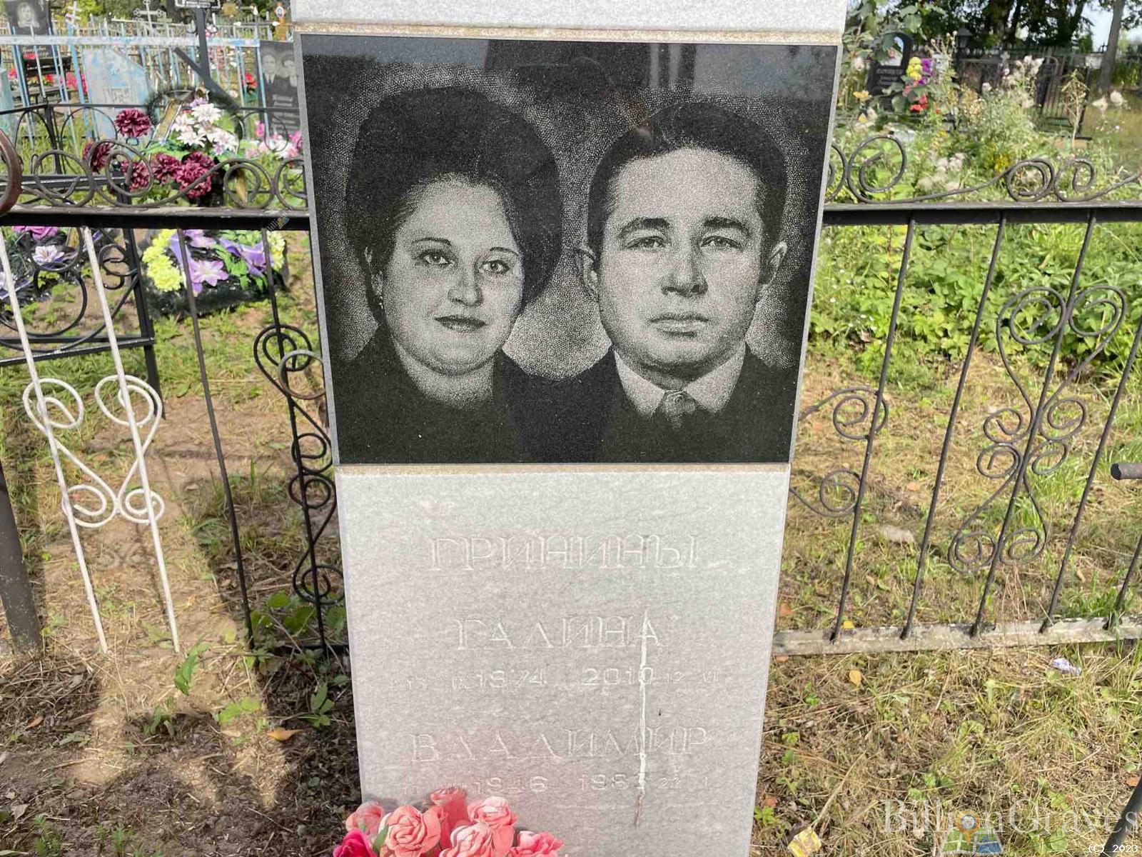 Гринин Владимир Федотович