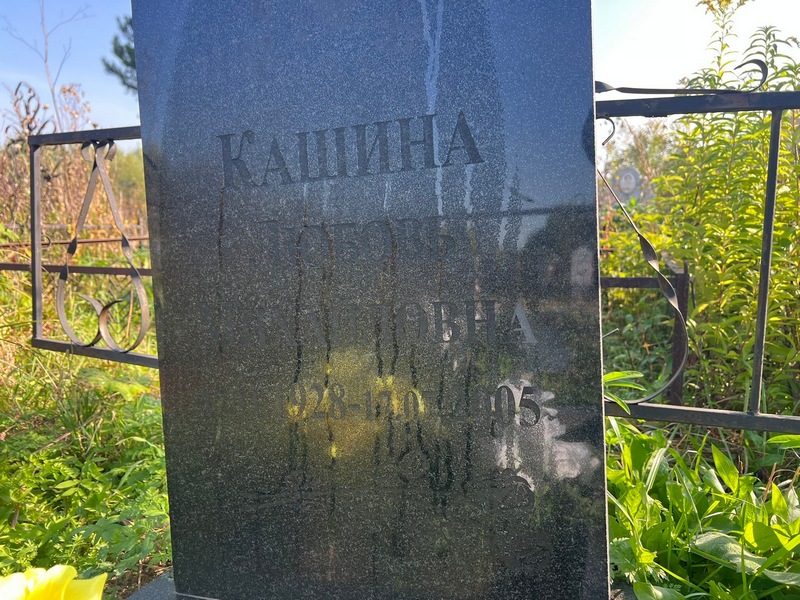 Кашина