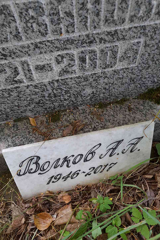 Волков А. А.