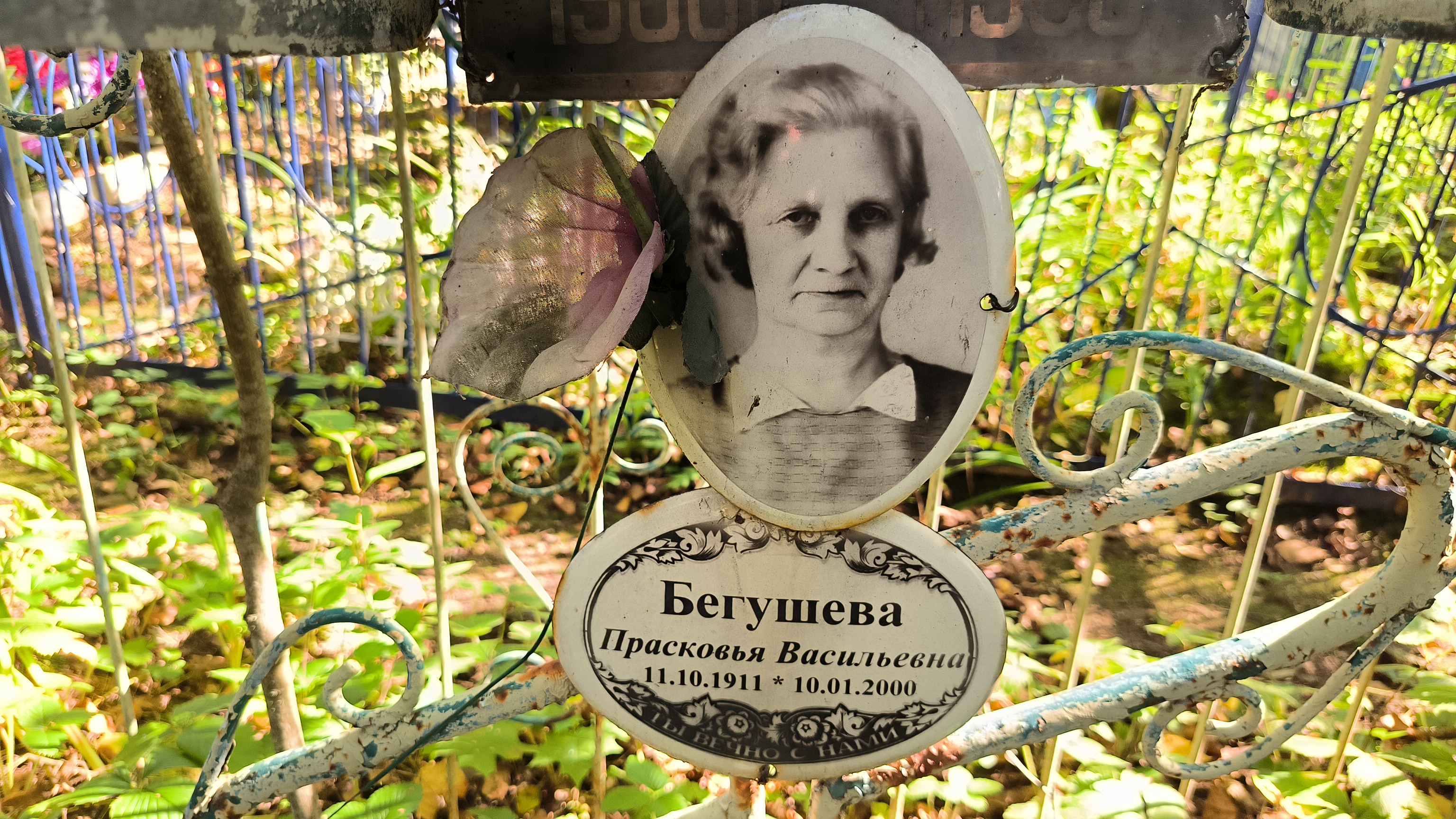 Бегушева Прасковья Васильевна