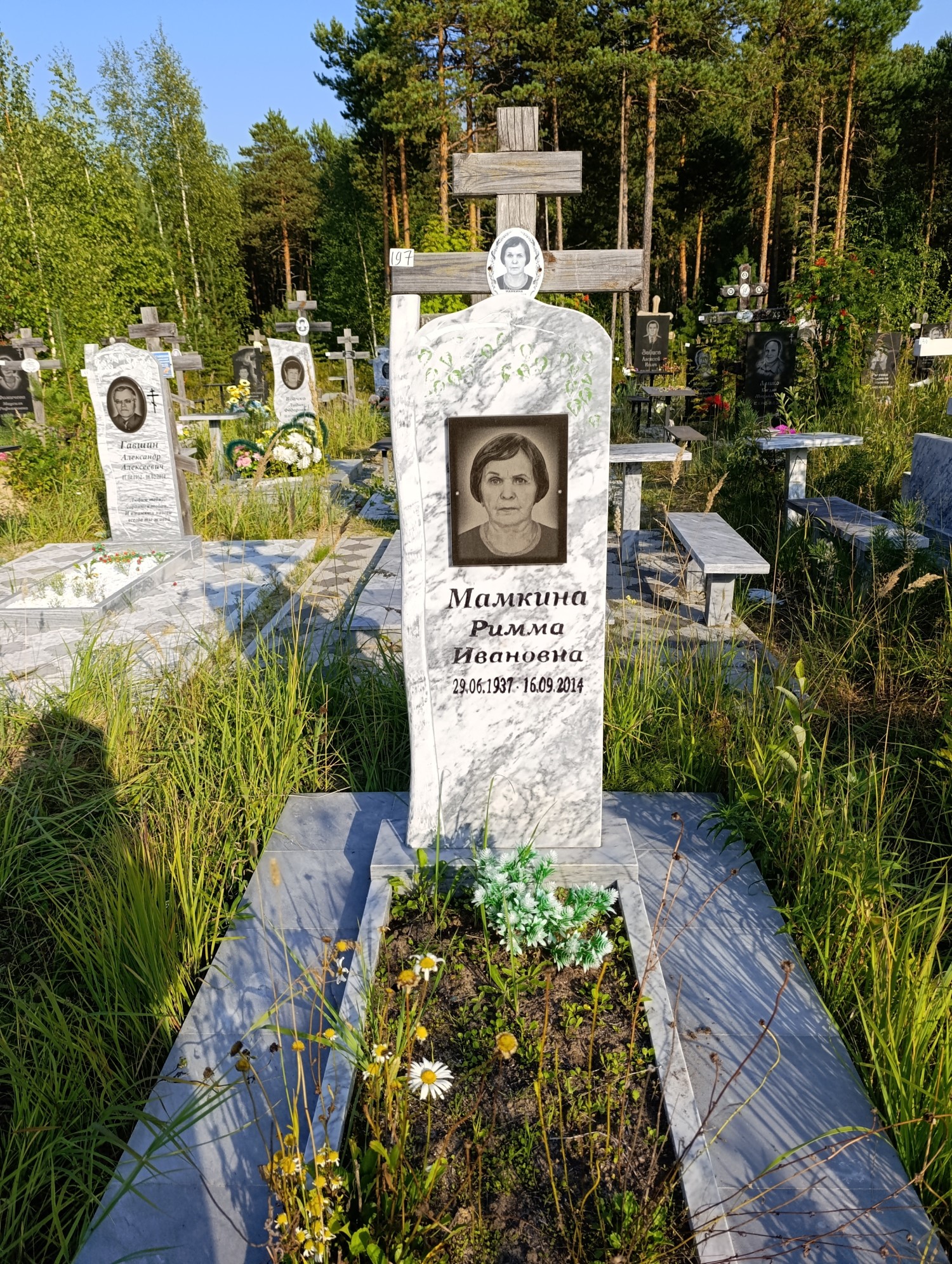 Мамкина Римма Ивановна