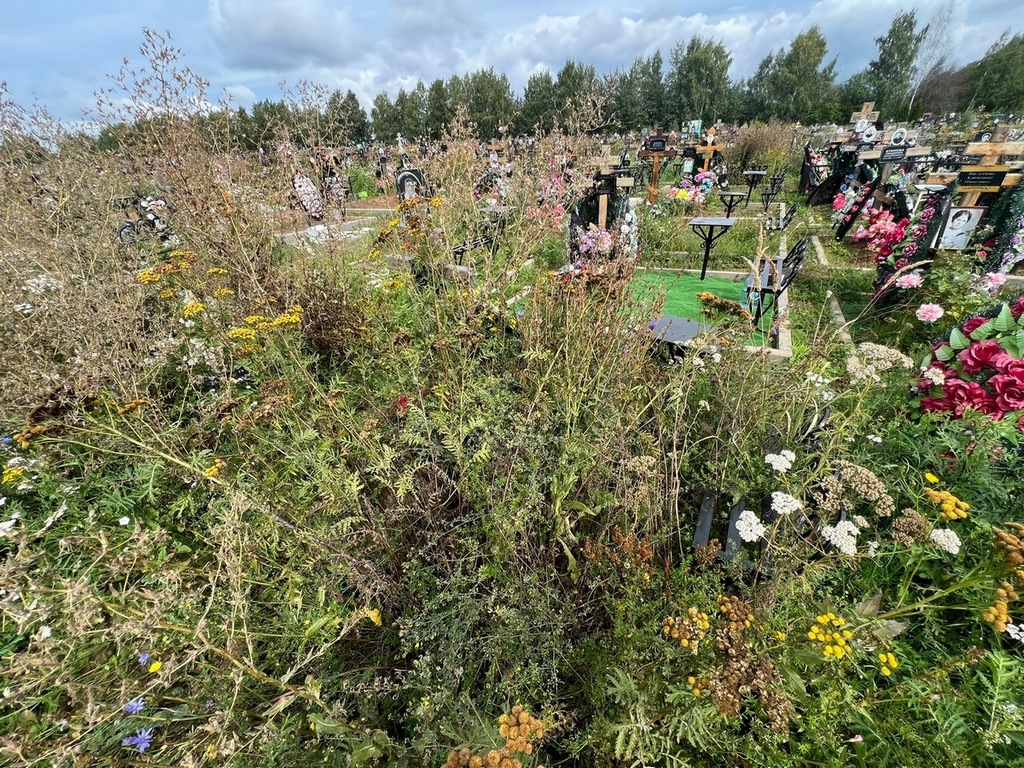 Ипатова Нина Андреевна