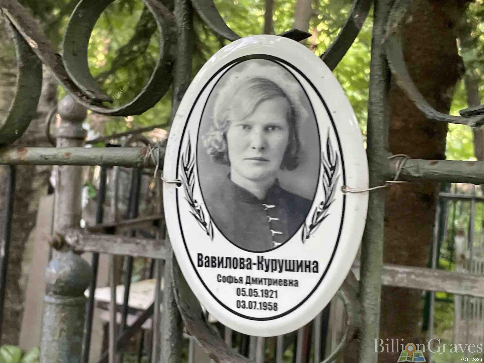 Вавилова-курушина Софья Дмитриевна