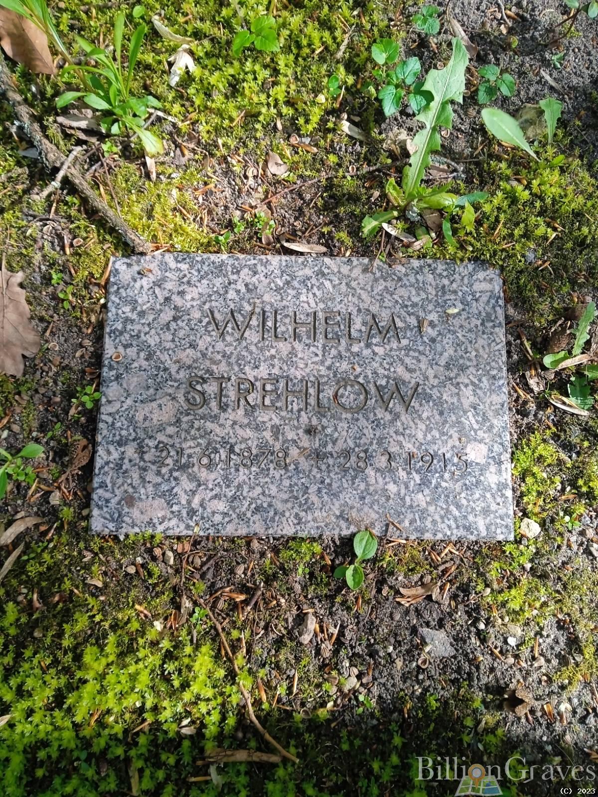 Strehlow Wilhelm