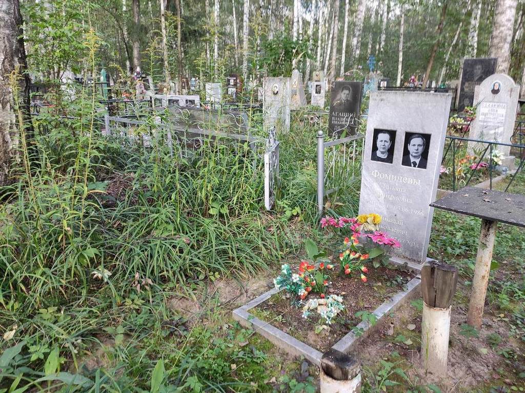 Фомичев Николай Николаевич